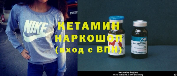 шишки Кодинск