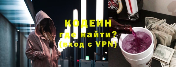 шишки Кодинск