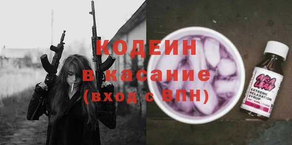 шишки Кодинск