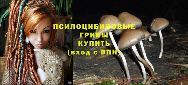 шишки Кодинск