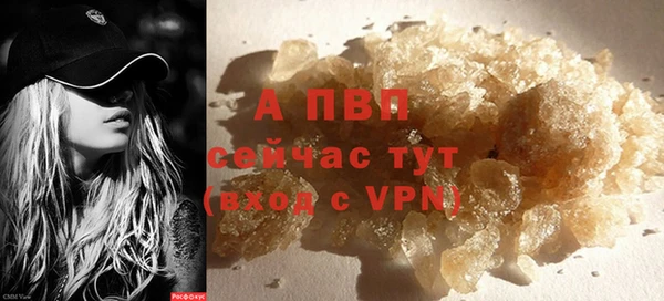 шишки Кодинск