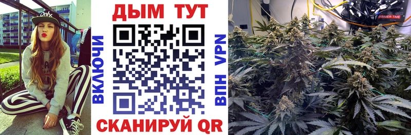 МАРИХУАНА Amnesia  Купить закладки  Евпатория 